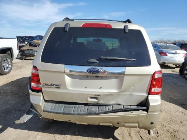 2011 Ford Escape Limited