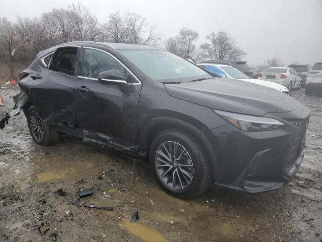 2025 Lexus NX 350 Base