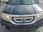 2009 Honda Pilot EXL