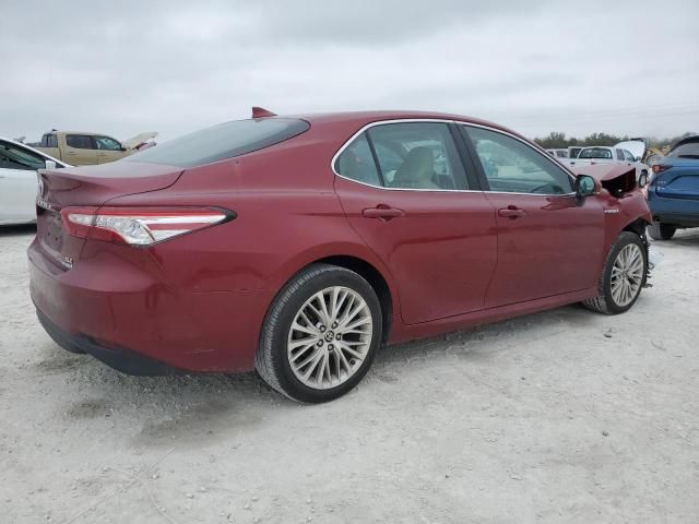 2020 Toyota Camry XLE