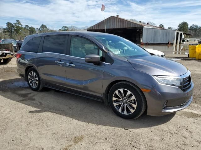 2022 Honda Odyssey EXL