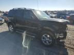 2010 Ford Escape Limited