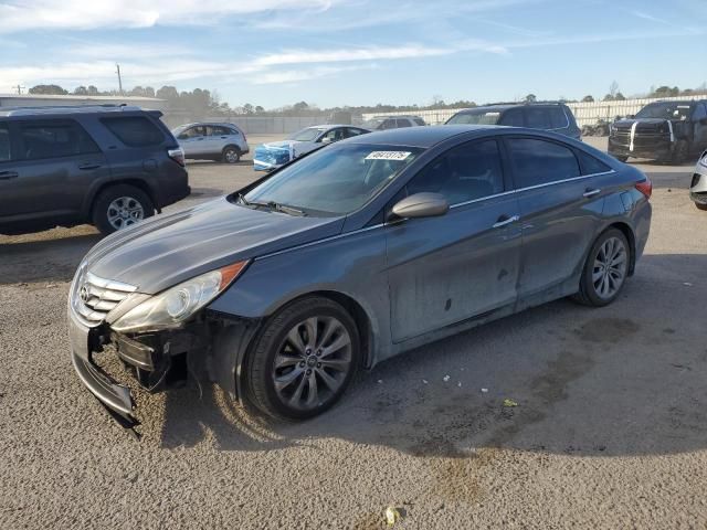 2013 Hyundai Sonata SE