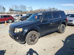 Salvage cars for sale at Spartanburg, SC auction: 2010 Ford Escape XLT