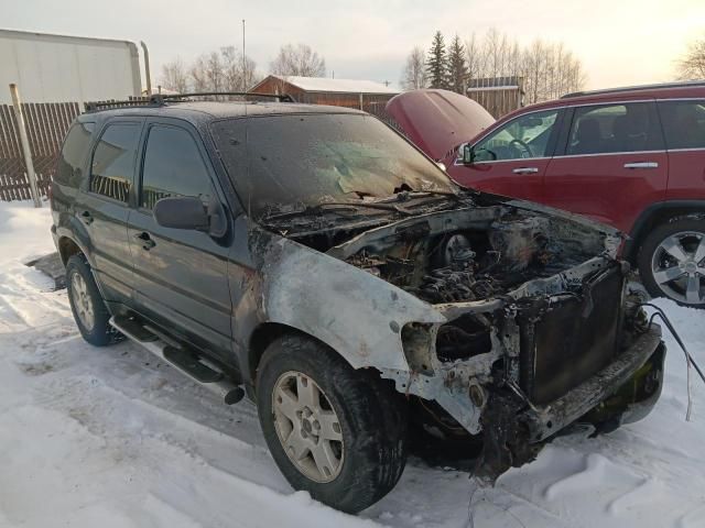 2005 Ford Escape XLT