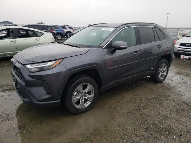 2023 Toyota Rav4 LE