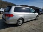 2008 Honda Odyssey EX