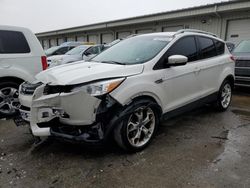 Salvage cars for sale at Louisville, KY auction: 2014 Ford Escape Titanium