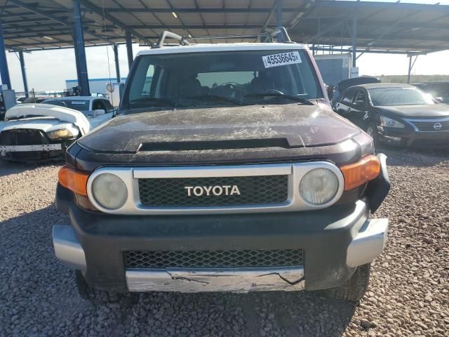 2007 Toyota FJ Cruiser