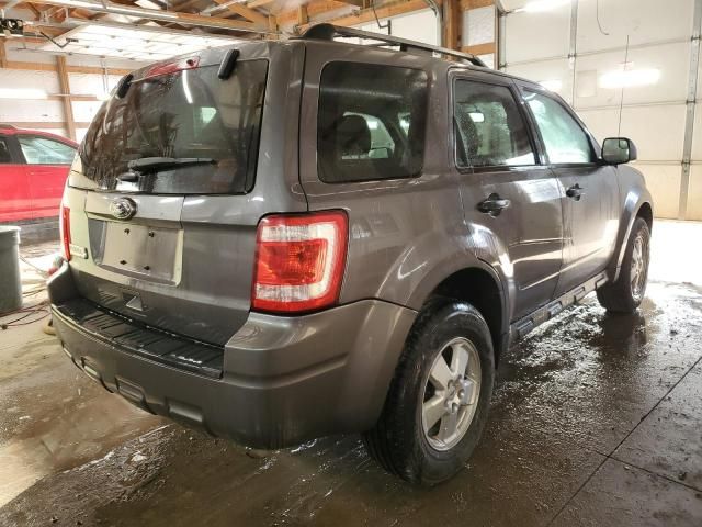 2011 Ford Escape XLT