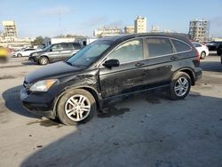 Salvage cars for sale at New Orleans, LA auction: 2010 Honda CR-V EXL