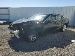 Salvage cars for sale at Riverview, FL auction: 2023 Chevrolet Malibu LT