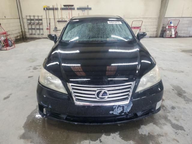 2010 Lexus ES 350