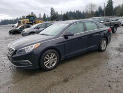 2015 Hyundai Sonata SE en venta en Graham, WA