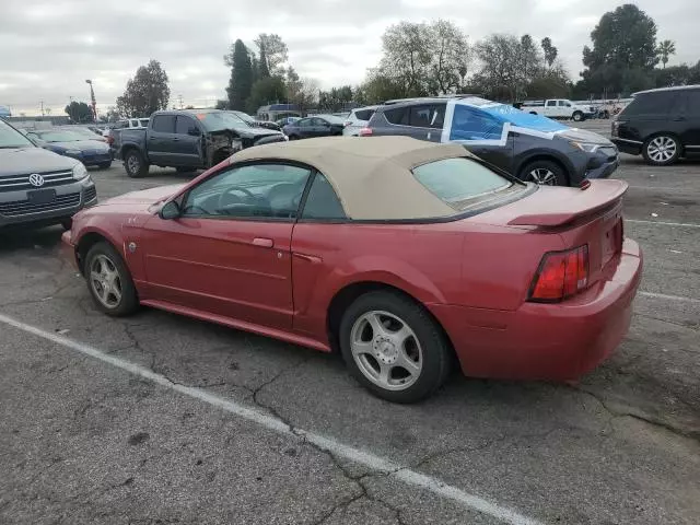 2004 Ford Mustang