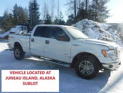 Salvage cars for sale at Anchorage, AK auction: 2011 Ford F150 Supercrew