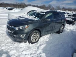 Chevrolet Equinox lt Vehiculos salvage en venta: 2019 Chevrolet Equinox LT