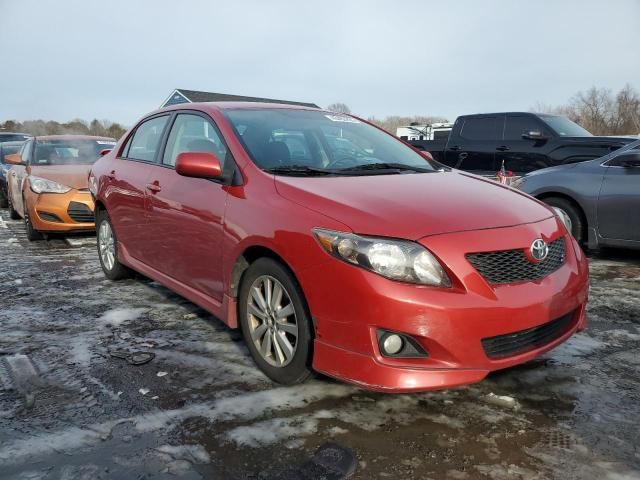 2010 Toyota Corolla Base