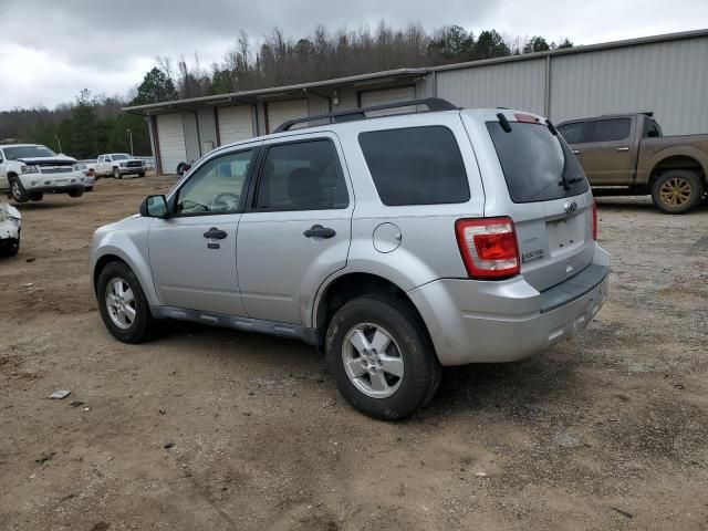 2010 Ford Escape XLT