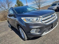 Salvage cars for sale at Columbus, OH auction: 2018 Ford Escape SEL