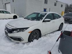 Salvage cars for sale at Cookstown, ON auction: 2021 Honda Civic EX