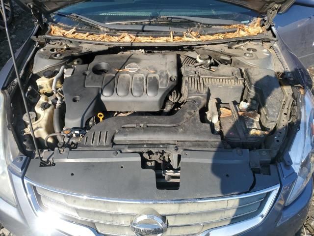 2010 Nissan Altima Base