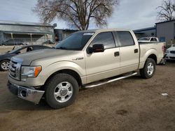 2009 Ford F150 Supercrew en venta en Albuquerque, NM