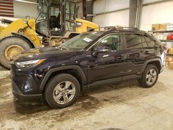 Salvage cars for sale at auction: 2023 Toyota Rav4 XLE