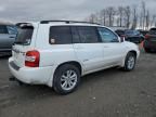 2006 Toyota Highlander Hybrid