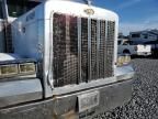 1999 Peterbilt 379 Semi Truck