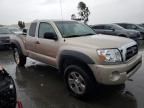 2005 Toyota Tacoma Prerunner Access Cab