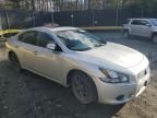 2012 Nissan Maxima S