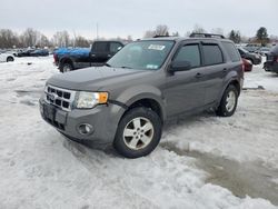 Salvage cars for sale at Central Square, NY auction: 2012 Ford Escape XLT