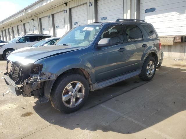 2010 Ford Escape XLT