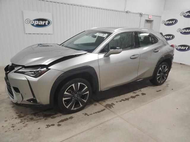 2019 Lexus UX 200