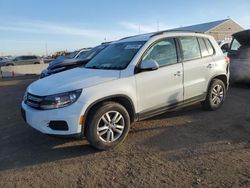 Salvage cars for sale at Brighton, CO auction: 2016 Volkswagen Tiguan S