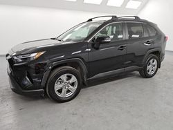 Salvage cars for sale at Van Nuys, CA auction: 2024 Toyota Rav4 XLE