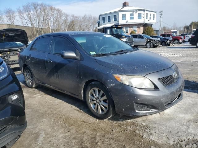 2010 Toyota Corolla Base