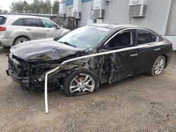 Salvage cars for sale from Copart Charles City, VA: 2010 Nissan Maxima S