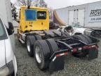 2019 Freightliner Cascadia 113