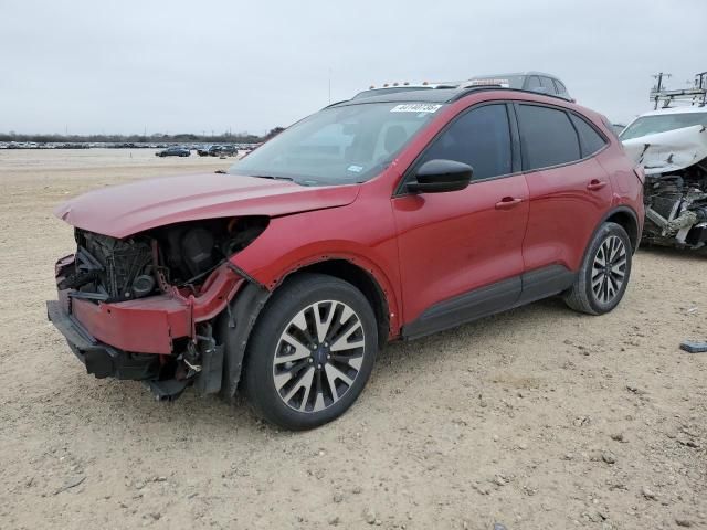 2020 Ford Escape SE Sport