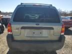 2007 Ford Escape XLT