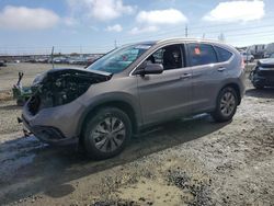 Salvage cars for sale at Eugene, OR auction: 2014 Honda CR-V EXL