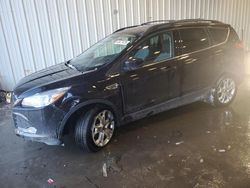 Ford Escape se salvage cars for sale: 2013 Ford Escape SE