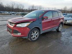 Salvage cars for sale at Marlboro, NY auction: 2013 Ford Escape SEL