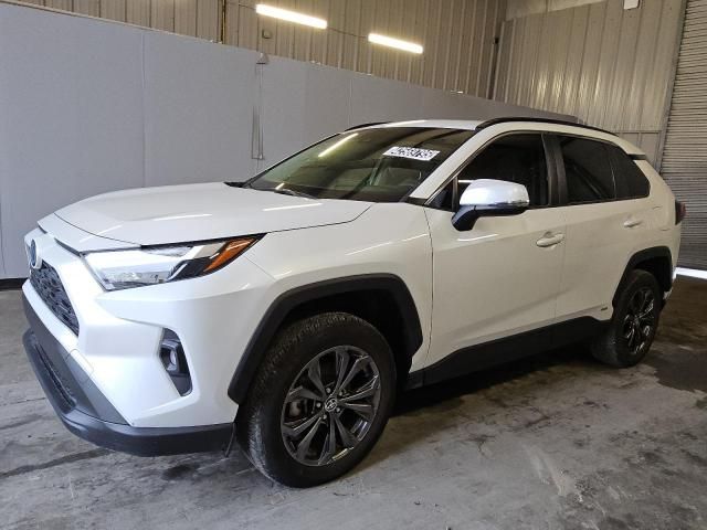 2023 Toyota Rav4 XLE Premium