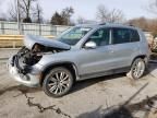 2013 Volkswagen Tiguan S