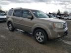 2009 Honda Pilot EX