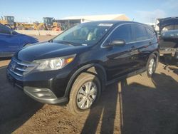 Salvage cars for sale at Brighton, CO auction: 2013 Honda CR-V LX