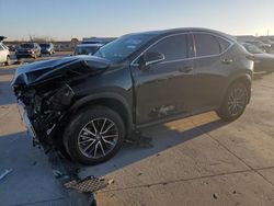 Salvage cars for sale from Copart Grand Prairie, TX: 2025 Lexus NX 250 Base